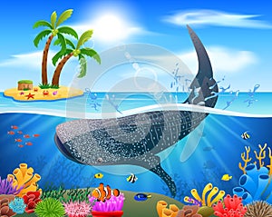 Whale shark cartoon with underwater view and coral background
