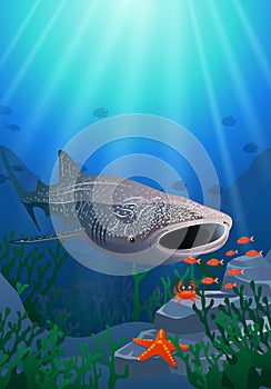 Whale shark cartoon with underwater view and coral background.