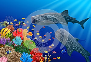 Whale shark cartoon with underwater view and coral background