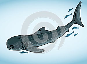 Whale shark and fish.