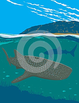 Whale Shark Watching in Oslob Cebu Philippines WPA Art Deco Poster