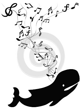 Velryba zpívá hudba 