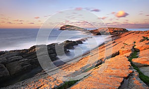 The whale of Sonabia