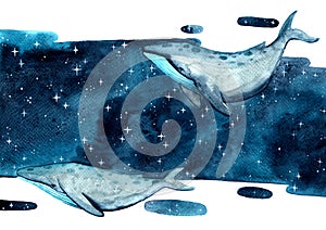 Whale swimming on the night sky among the star watercolor hand painting background.