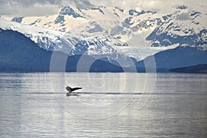 Whale tail against icy mountains