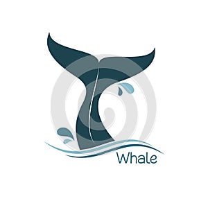 Whale tail icon photo