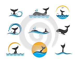 whale tail icon vector illustration design