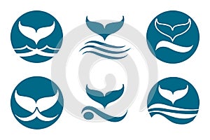 Whale Tail Logo