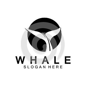 whale tail logo vector illustration design. Whale tail graphic icon photo