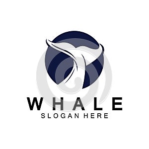 whale tail logo vector illustration design. Whale tail graphic icon