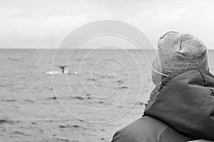 Whalewatching on Iceland