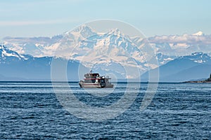 Whale watching in the Glacier Bay - Alaska