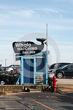 Whale watching sign  in Provincetown in Cape Cod