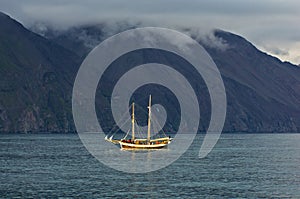 Whale watching tours from old sailing ship at Husavik bay area