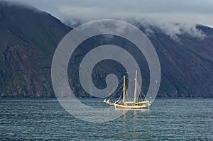 Whale watching tours from old sailing ship at Husavik bay area
