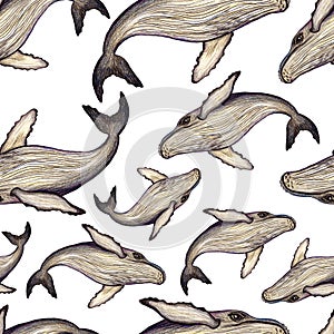 Whale watercolor pencils seamless pattern. Hand drawn painting, isolated, white background.