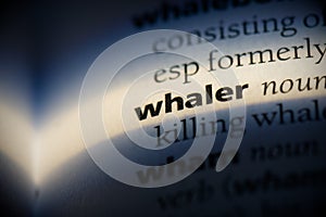 Whaler photo