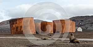 Whalers Bay, Deception Island, Antarctica