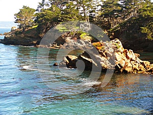 Whalers Cove Point Lobos Park