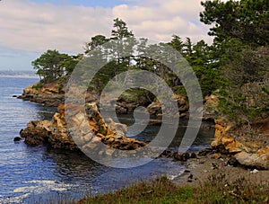 Whalers Cove Point Lobos Park