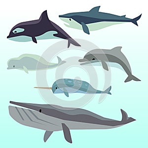 Whales and dolphins, marine underwater mammal, ocean animals flat vector set