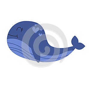 Whales Marine mammals illustration