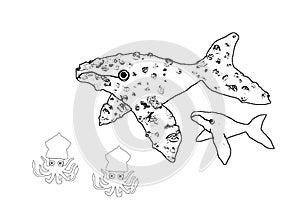 Whales and mollusks, colouring book page uncolored