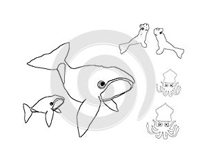Whales, seals and mollusks, colouring book page uncolored