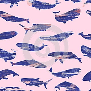 whales and sharks texture silhouettes of large fish of the oceans and seas seamless pattern