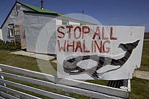 Whaling sign,