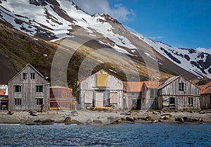 Whaling village abandoned after all the whales were killed in 1920's