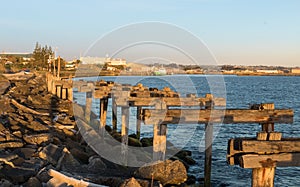 Whanganui Old Wharf Posts