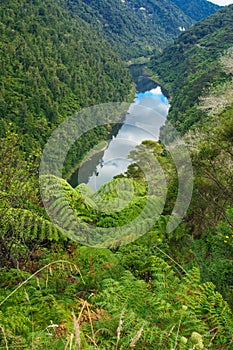 Whanganui River