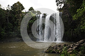 Whangarei falls