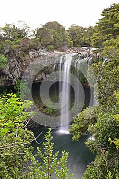 Whangarei Falls located in Whangarei, New Zealand