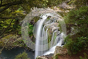 Whangarei Falls located in Whangarei, New Zealand