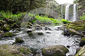 Whangarei Falls, New Zealand photo