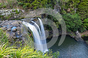 Whangarei Falls photo