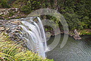 Whangarei Falls, Northland, New Zealand