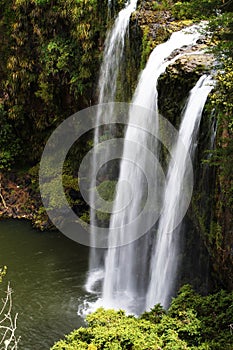 Whangarei Falls, NZ