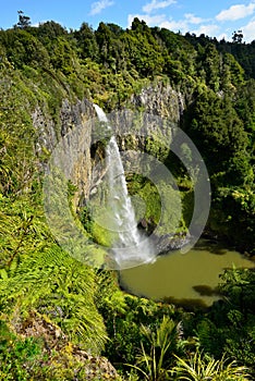 Whangarei Falls NZ photo