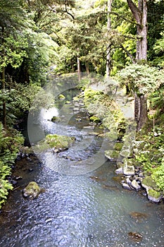 Whangarei Falls and Scenic Reserve