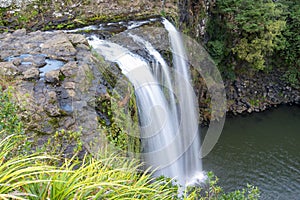 Whangarei Falls photo