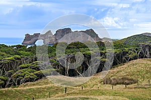 Wharariki Beach and Archway Islands view, Golden Bay, New Zealand