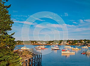 A wharf in Bass Harbor, Maine overlooks fishing boats in the bay.