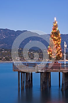 Wharf Christmas Tree photo