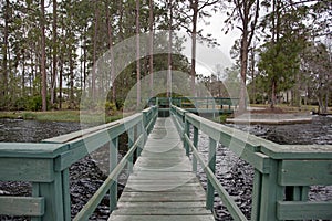 Wharf or dock by lake