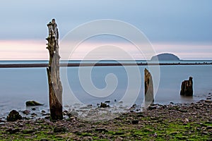 Wharf Posts Remain From The Tall Ship Building Industry In Nova Scotia photo