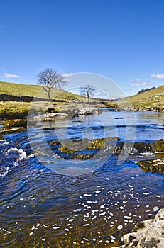 Wharfe river photo