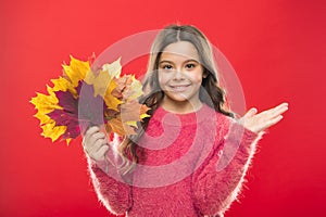 What a beauty. girl child in sweater. Autumn mood. autumn kid fashion. Weather change. fall season. fallen leaves bunch